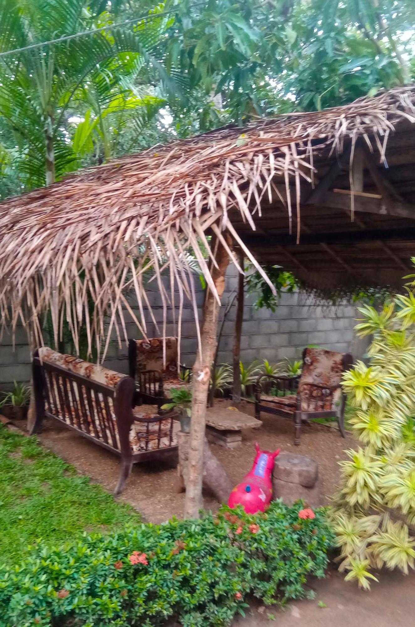 Hotel Awaken Dambulla Exterior foto